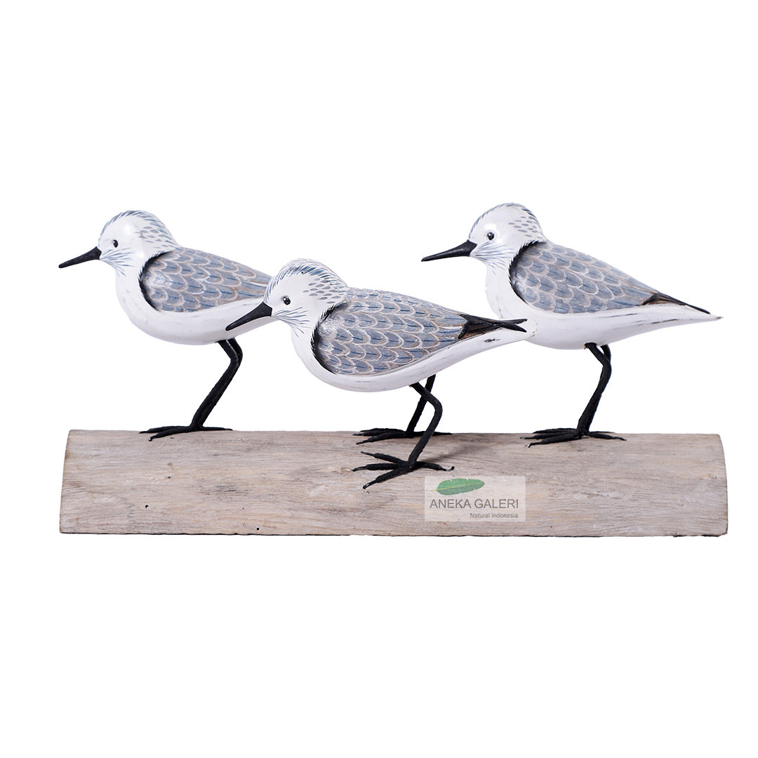  Dunlin 3 