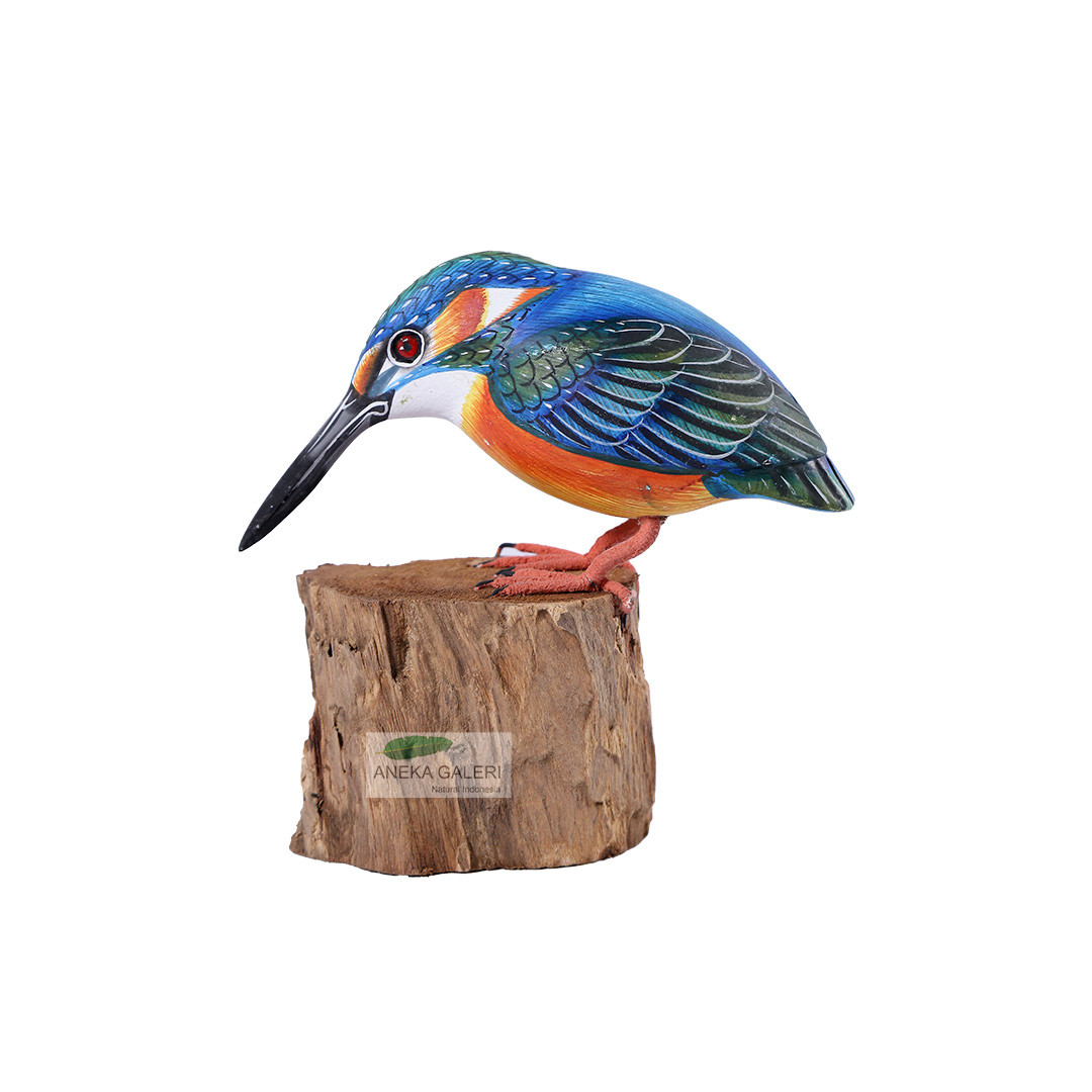  King Fisher 