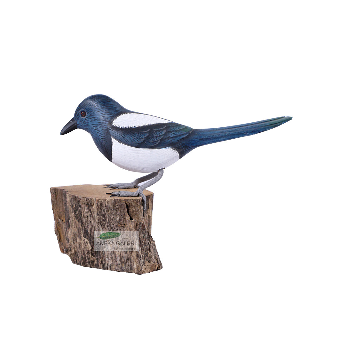  Magpie 