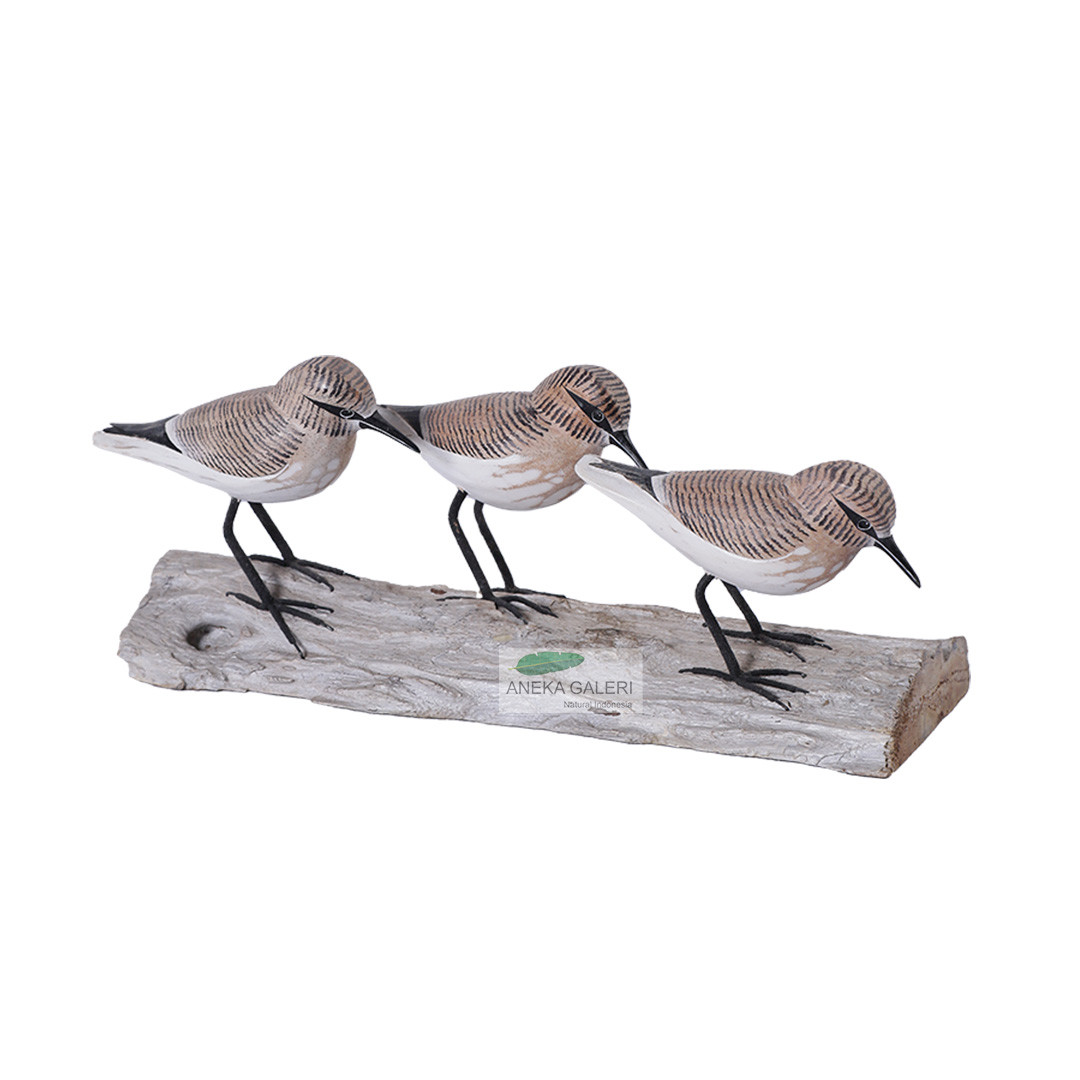  Sandpiper 3 