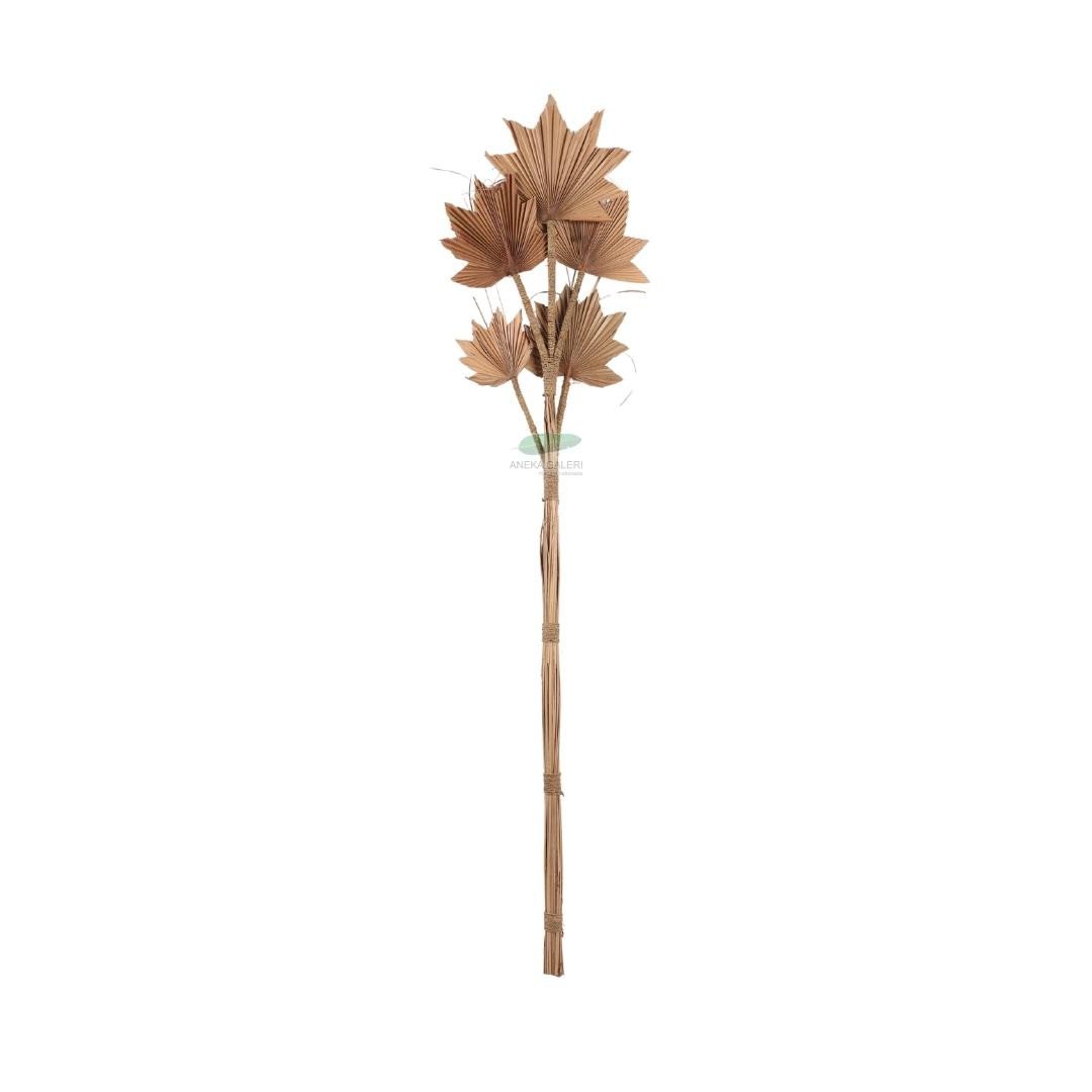5 palm leaves, natural h.115cm 