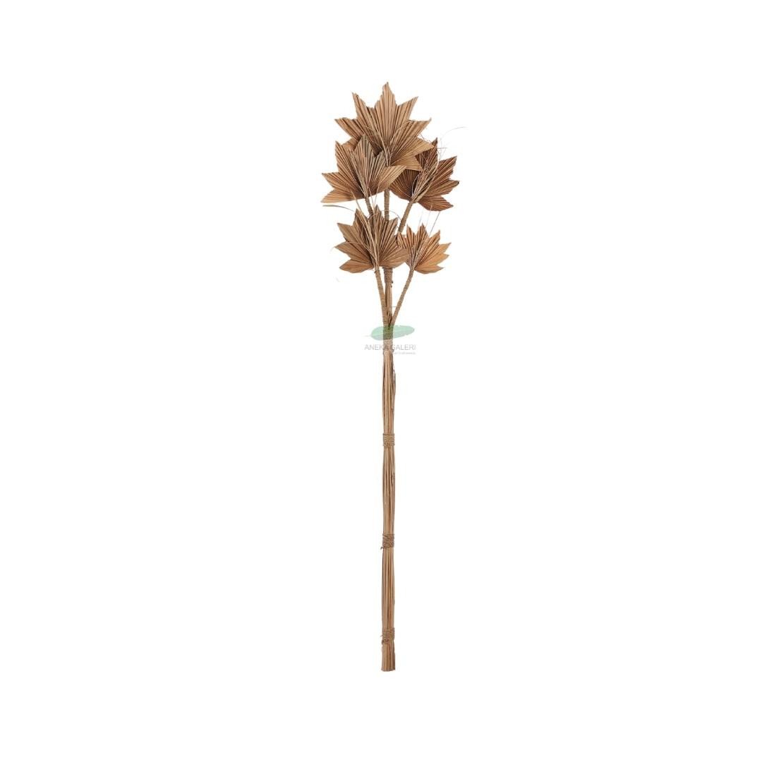 5 palm leaves, natural h.77cm 