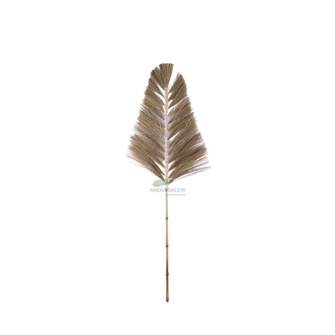 Cemara Grass Plume