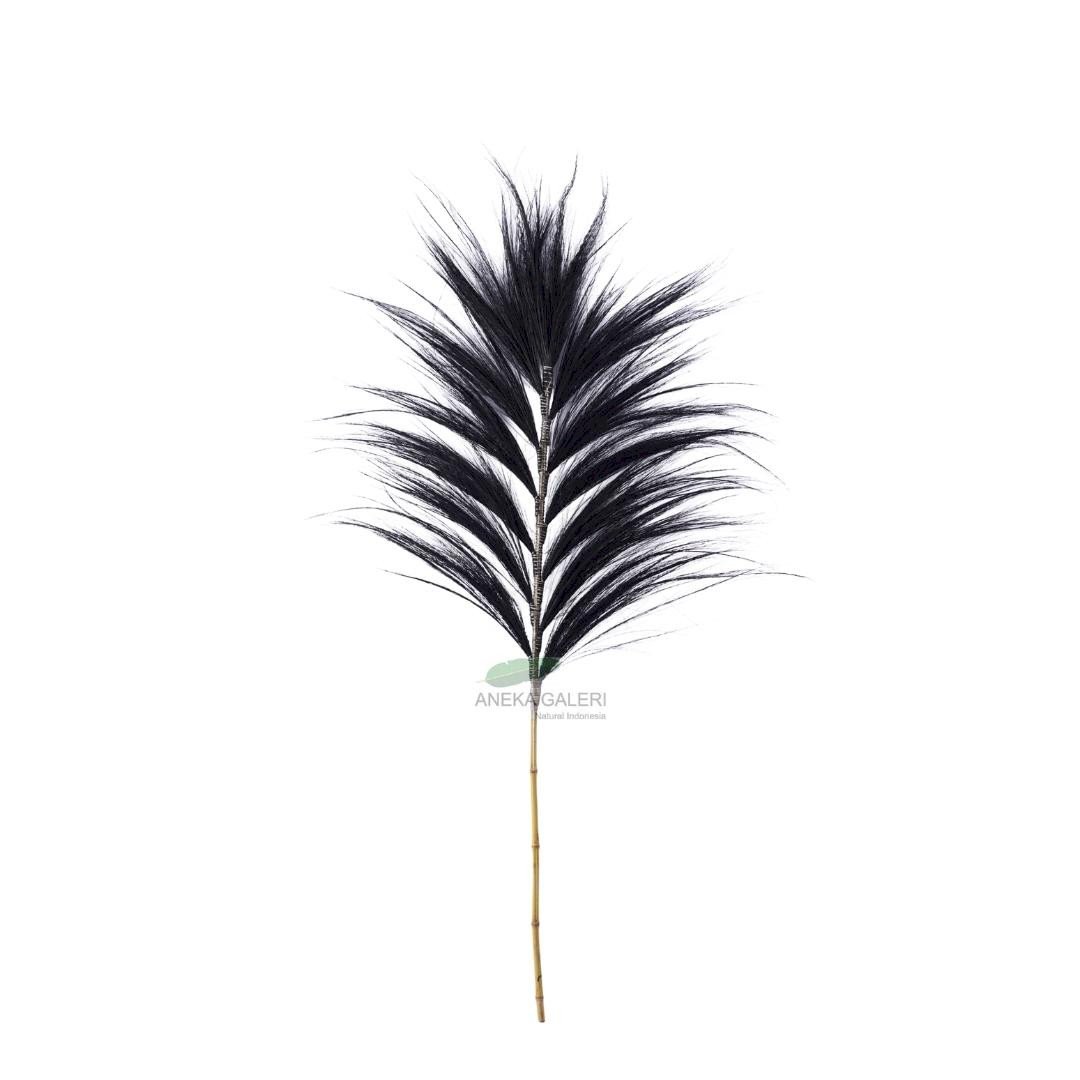 Grass plume Black