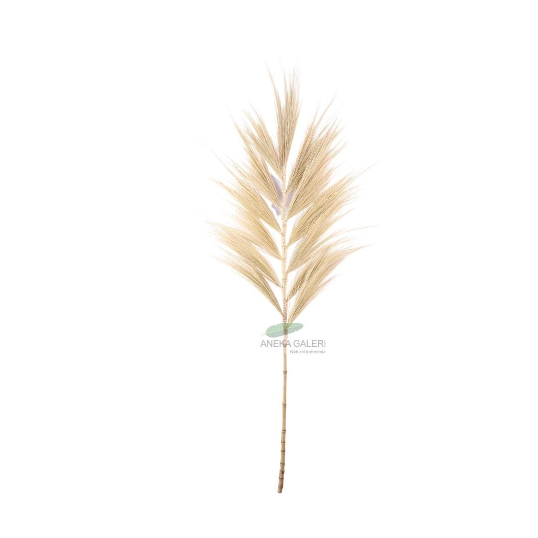 Grass plume bleached