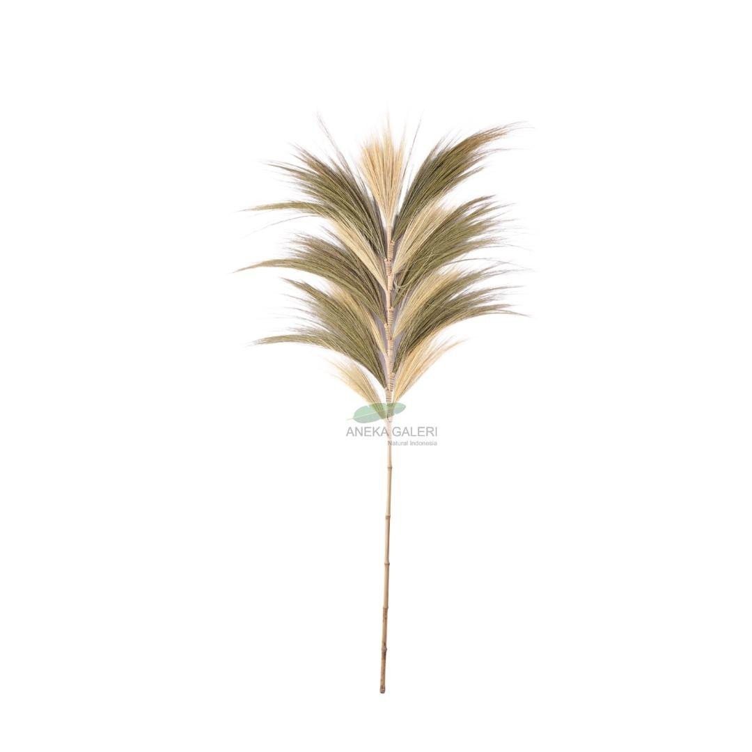 Grass plume combination natural/sand