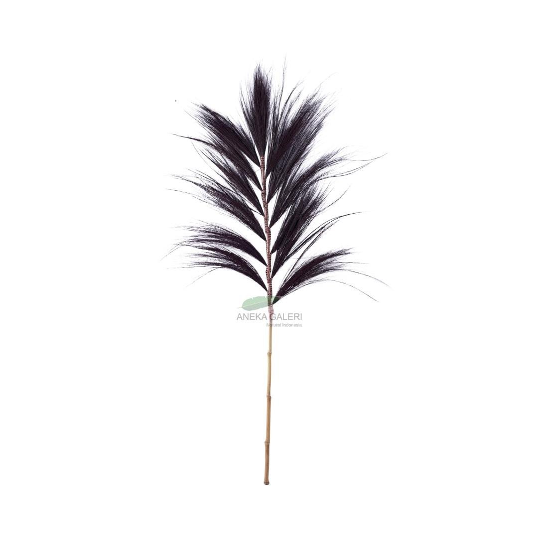 Grass plume DB