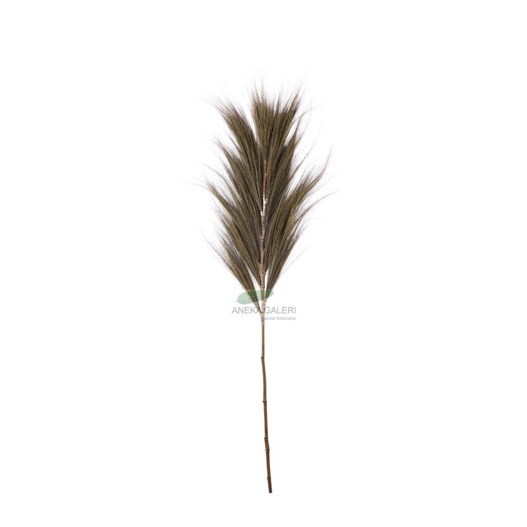 Grass plume Natural
