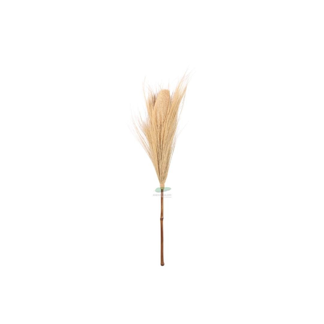 Plum Grass Gambas - Bleached