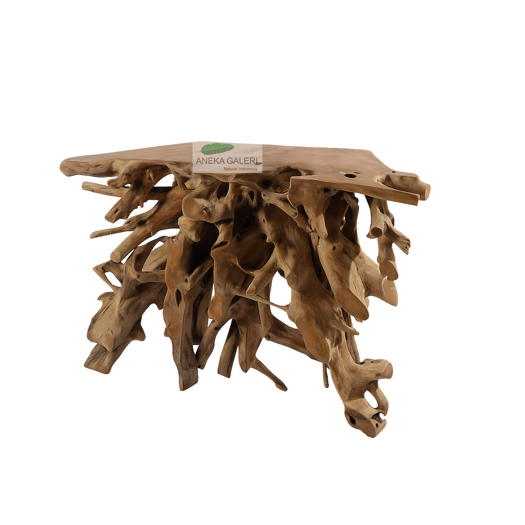 Root Console
