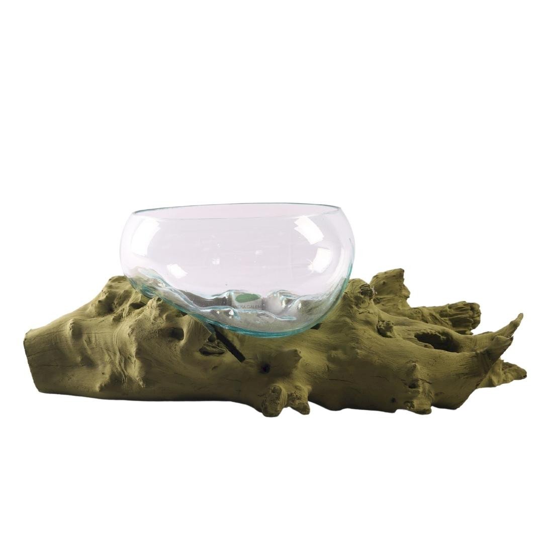 Root with glass 65x30x23cm. OLIVE GREEN