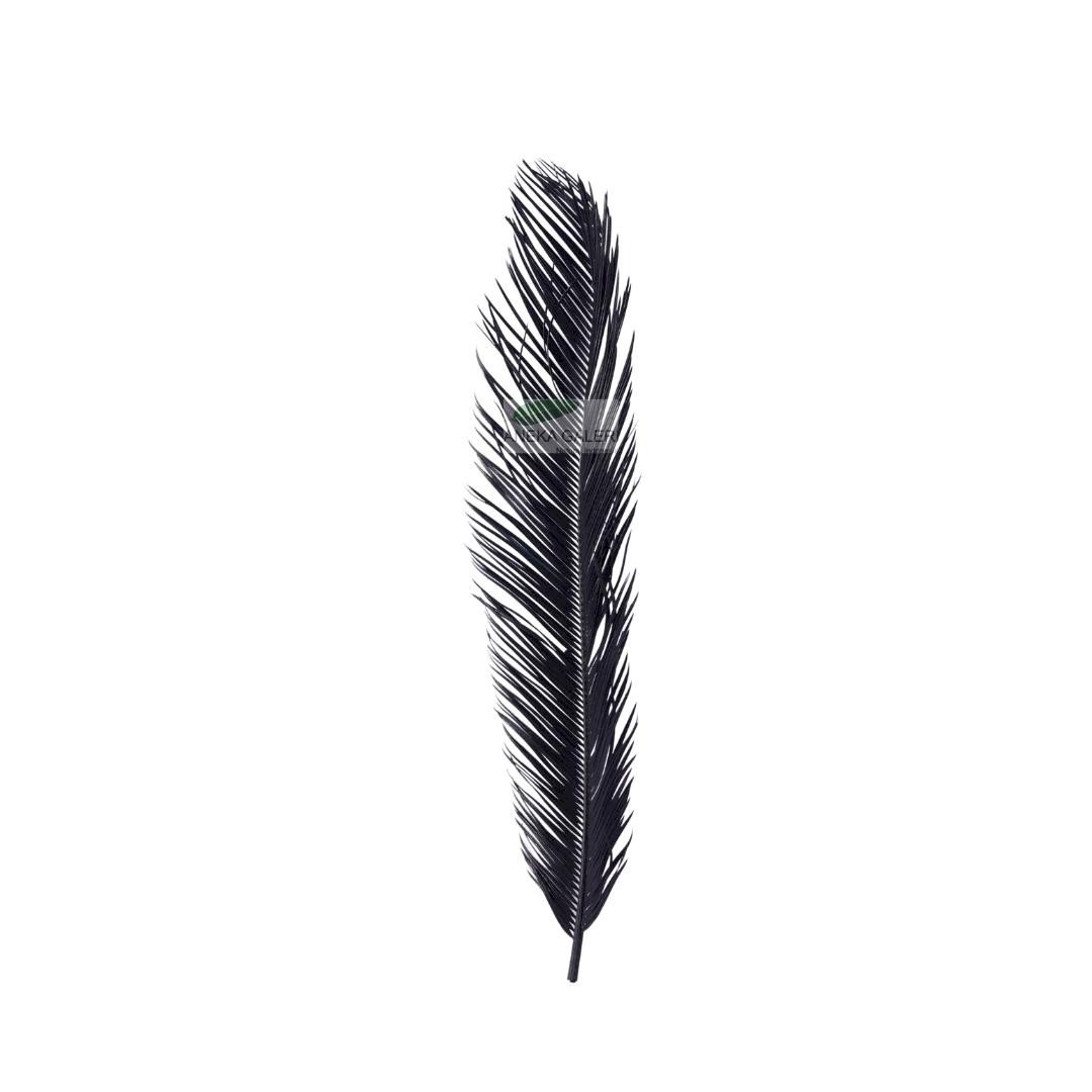 Sikas - Black