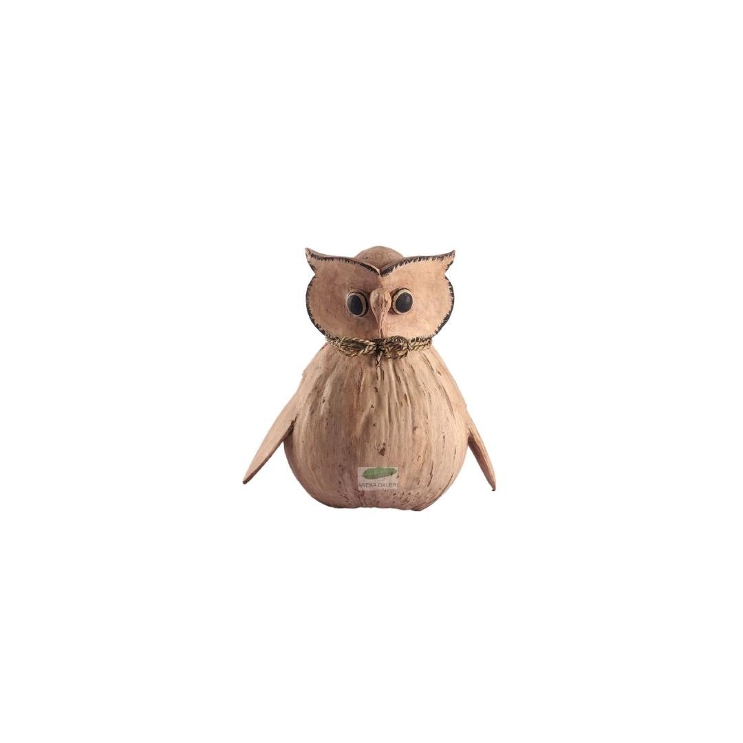 Standing Coconut Owl Natural